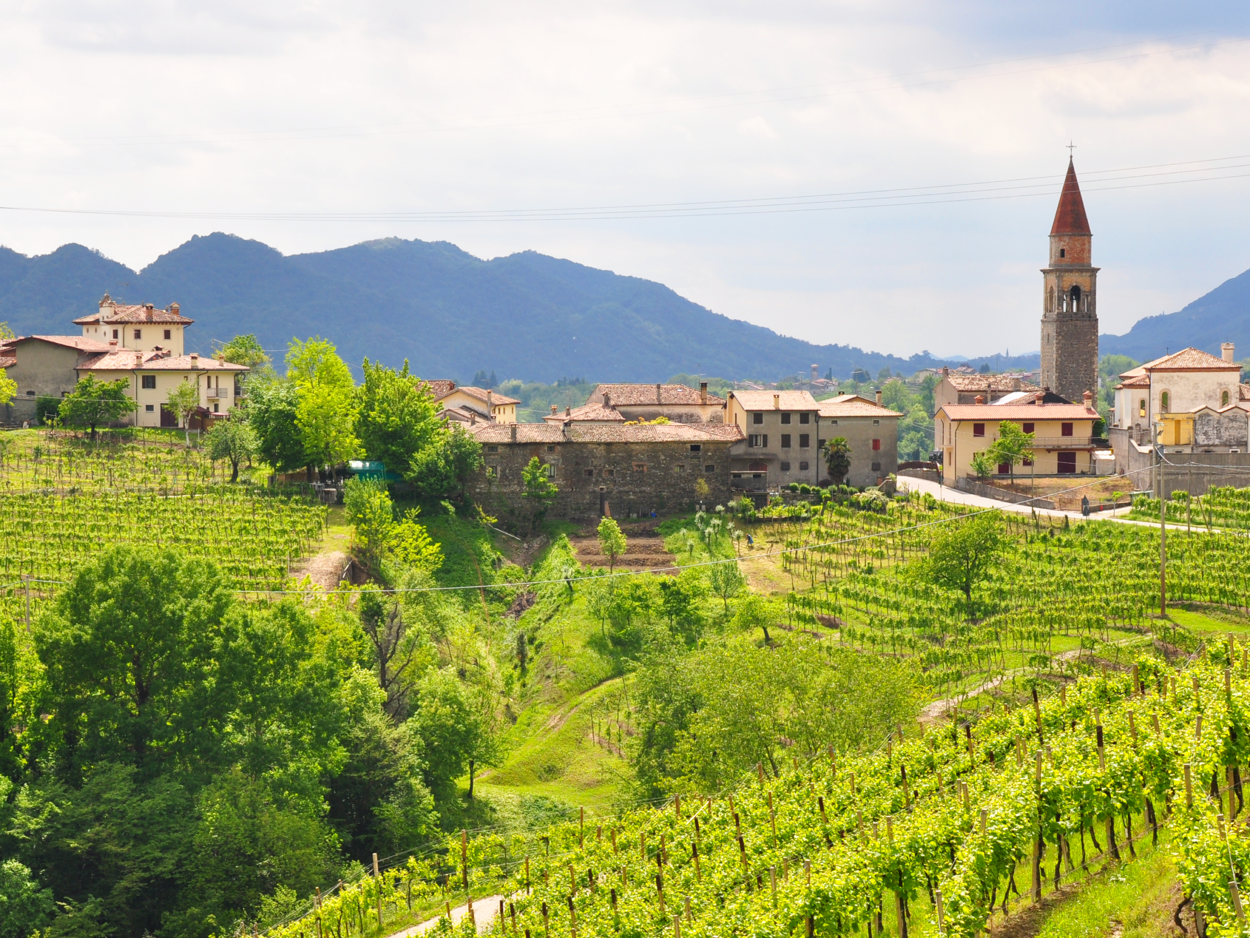 Articolo Premio Mazzotti