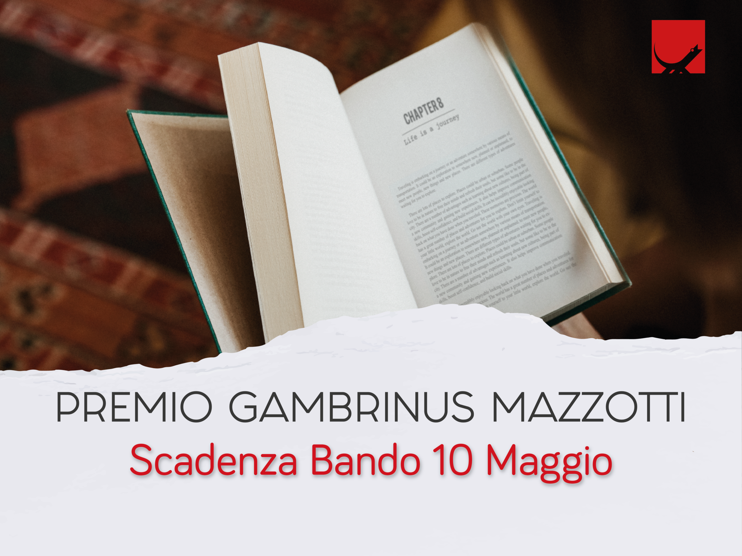 premio gambrinus mazzotti 2024_cover