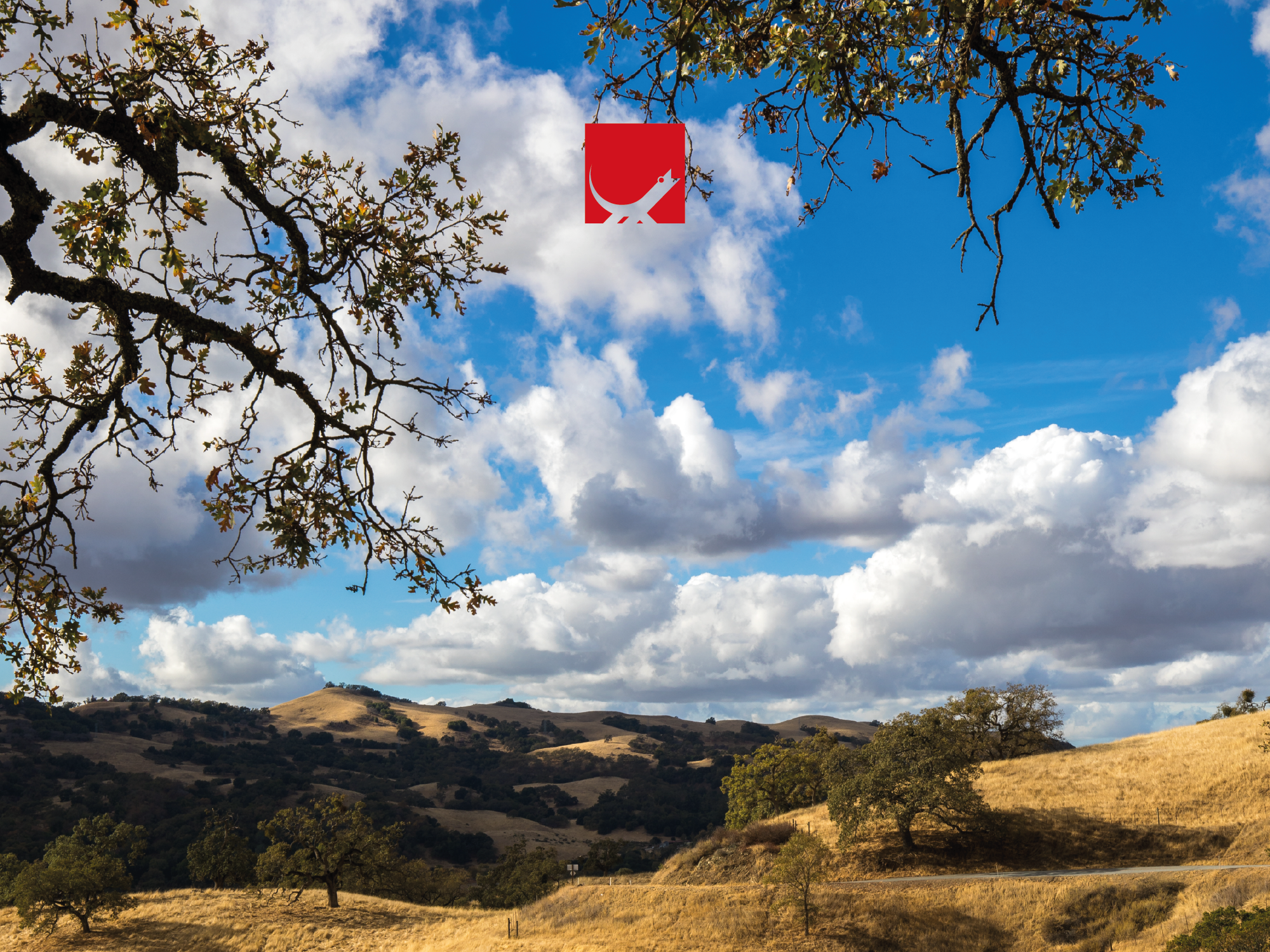 14° Premio Mazzotti Ragazzi_cover